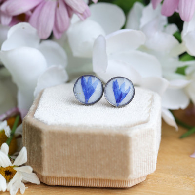 Cornflower flower stud earrings