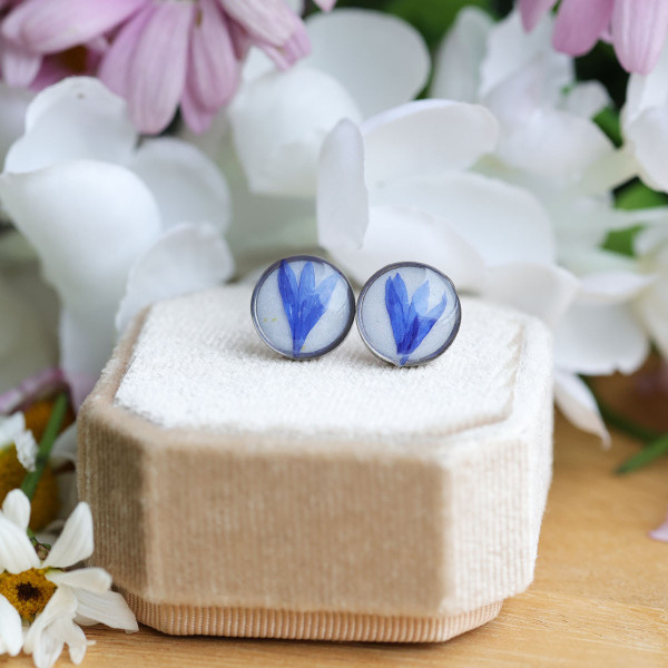 Cornflower flower stud earrings