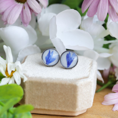 Cornflower flower stud earrings