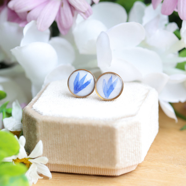 Cornflower flower stud earrings