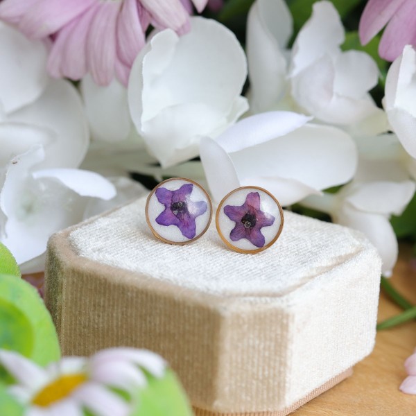 Anchusa stud earrings