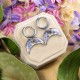 Classic lunula earrings with forget-me-nots