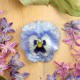 Pansy Brooch