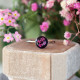 Classic ring with wild carrot flower