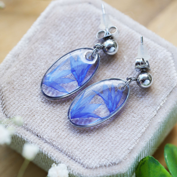 Cornflower earrings